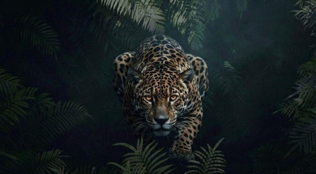 Encuentro Misionero: el poder, ayer y hoy, sigue estando en la gente imagen-5