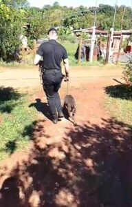 Tras un alerta vecinal la Policía salvó a un perro que había caído en un pozo en Oberá imagen-78
