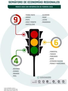 Crisis en el sector de la mandioca: el «oro blanco» misionero entra en zona roja imagen-1