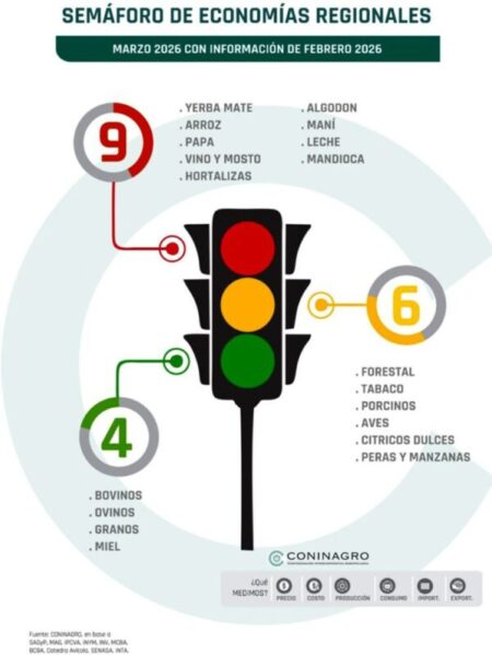 Crisis en el sector de la mandioca: el «oro blanco» misionero entra en zona roja imagen-12