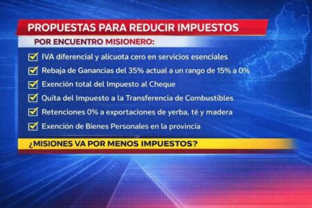 Del IVA al ITC: la batería de medidas que se impulsa para Misiones imagen-18