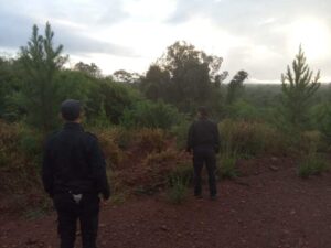 Hallaron un cuerpo en una zona rural de San Ignacio y sospechan que podria tratarse de Nicolás Muñoz imagen-1
