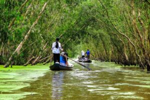 Viaje por el río Mekong: qué ver entre arrozales, manglares y pueblos tradicionales imagen-3