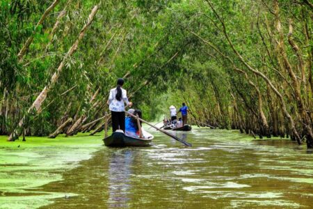 Viaje por el río Mekong: qué ver entre arrozales, manglares y pueblos tradicionales imagen-9