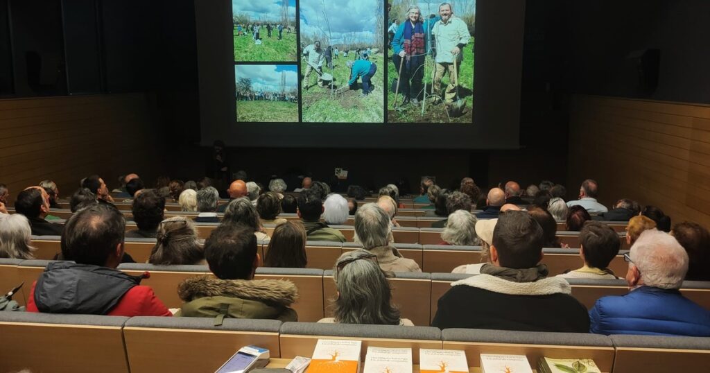 "Bosque de los libros": un proyecto literario que transforma poemas en árboles imagen-98