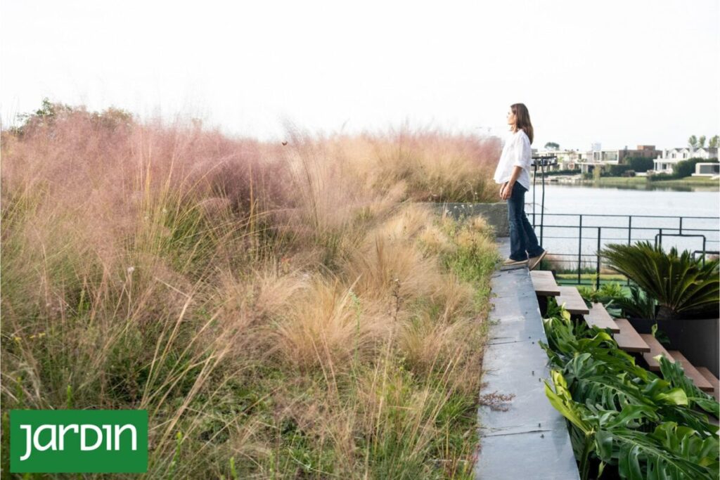 Desniveles a favor: Cómo convertir un terreno desparejo en una oportunidad de diseño imagen-4