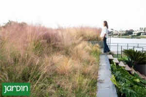 Desniveles a favor: Cómo convertir un terreno desparejo en una oportunidad de diseño imagen-1