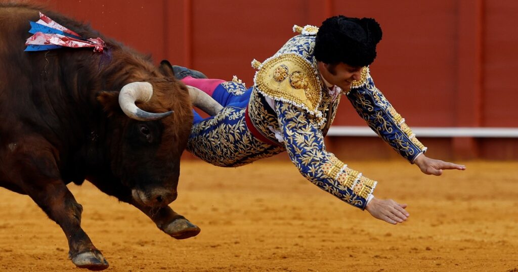 Un famoso torero sufrió una cornada durante una corrida en Sevilla y permanece en grave estado imagen-102