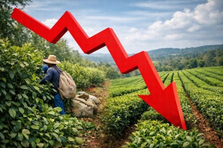 Marzo cerró con más pesimismo entre las pymes misioneras y una inflación percibida al alza casi unánime imagen-70