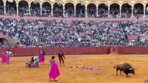 Una cornada lo dejó al borde de la muerte en plena corrida imagen-1
