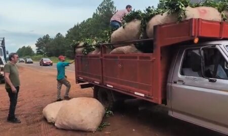 Reclamo yerbatero: apoyos y rechazos a los cortes de ruta imagen-10