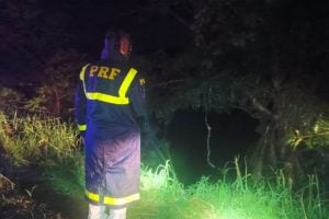 Tragedia en Paraná: Tragedia en la ruta: un camión cayó a un embalse y un hombre desapareció tras intentar salvar a su hijastra imagen-7