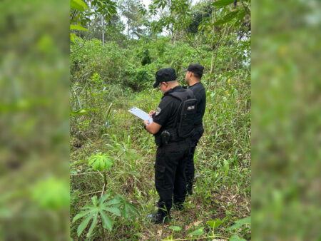 Investigan restos óseos humanos hallados en Puerto Esperanza imagen-14