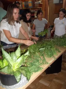 Entregaron plantines nativos en El Alcázar para fortalecer la producción y el turismo sostenible imagen-1