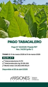 Misiones anunció un nuevo pago tabacalero por más de $8.300 millones imagen-1