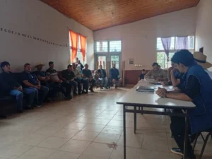 Productores de San Pedro buscan abrir un canal de venta en el Mercado Concentrador de Posadas imagen-2