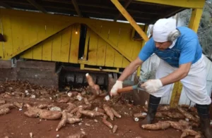 Fábricas paradas y costos en alza profundizan el deterioro industrial en Misiones imagen-2