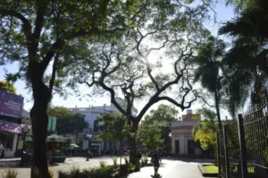 Fin de semana con tiempo estable en Misiones: desde este sábado predominará el sol y las temperaturas agradables imagen-2