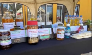 El aceite de frituras que los vecinos descartan mueve los camiones de Puerto Rico imagen-1