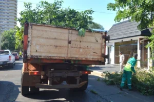 El próximo lunes inicia el Operativo Integral de Poda en Posadas imagen-2
