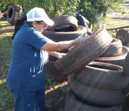 Misiones en alerta por brote de chikungunya en el NOA imagen-14