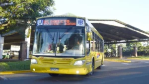 Levantan paro de transporte pero sigue el estado de alerta imagen-4