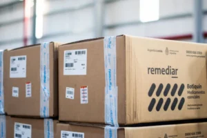 Recorte del programa Remediar desata preocupación en el sistema sanitario provincial imagen-2