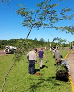 Más arbolado nativo impulsa el corredor verde en la bicisenda de Alem imagen-1
