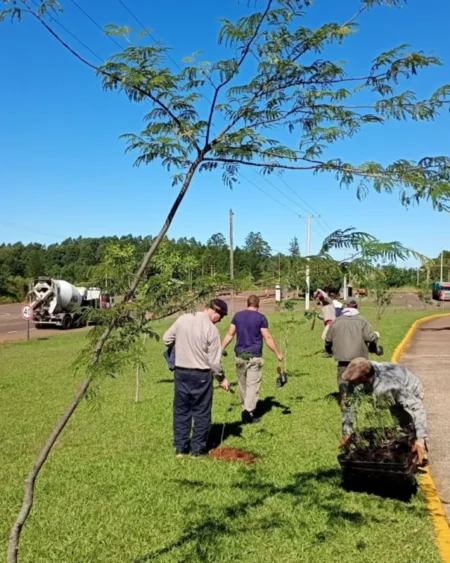 Más arbolado nativo impulsa el corredor verde en la bicisenda de Alem imagen-14