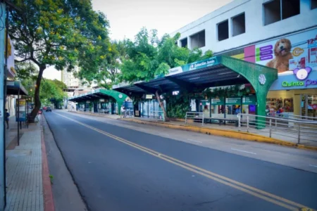 UTA Misiones confirmó que el paro de colectivos seguirá el viernes en Posadas, Oberá y San Vicente imagen-6