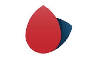 Vuelve el noticiero del mediodía a Misiones 4 Vuelve el noticiero del mediodía a Misiones 4 imagen-2