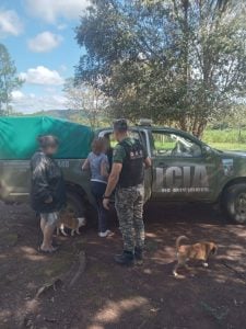 Una mujer salió despedida de un carro en movimiento y sufrió lesiones en Panambí imagen-6