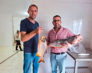 La acuicultura pisa fuerte en Misiones: cosecharon casi cinco toneladas de pescado durante Semana Santa imagen-4