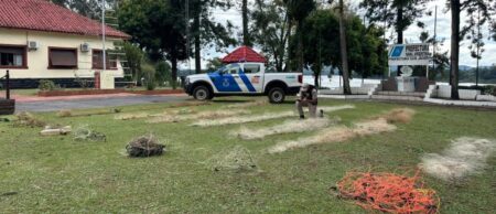 Prefectura de San Javier secuestró redes y elementos por pesca furtiva en el río Uruguay imagen-71