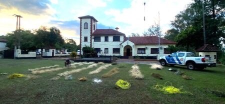 Prefectura San Javier asestó un golpe a la pesca furtiva en el río Uruguay imagen-106