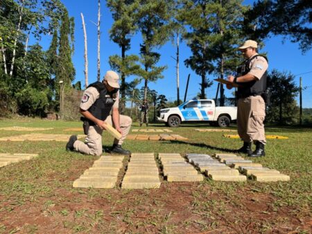 Puerto Libertad: Prefectura incautó más de una tonelada de marihuana imagen-66