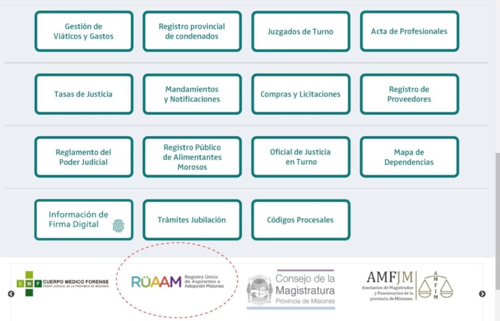 Registro Único de Aspirantes a la Adopción de Misiones (RUAAM) y el Registro Único de Familia Aspirantes al Acogimiento Familiar Alternativo (RUFAAFA) imagen-5