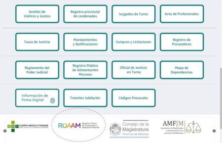 Registro Único de Aspirantes a la Adopción de Misiones (RUAAM) y el Registro Único de Familia Aspirantes al Acogimiento Familiar Alternativo (RUFAAFA) imagen-83