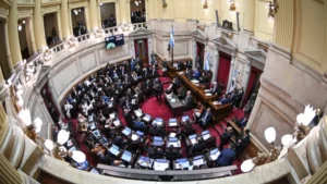 El Gobierno envió al Senado las reformas a las leyes de Discapacidad y Salud Mental imagen-1