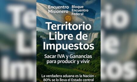 Misiones “territorio libre de impuestos”, la propuesta de Rovira para LLA imagen-7