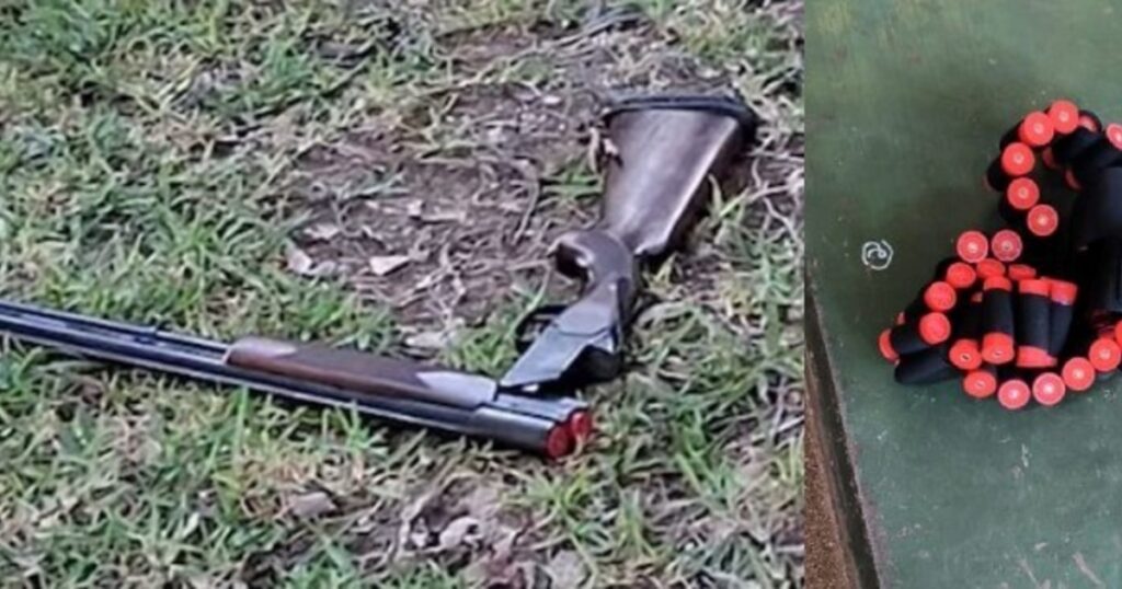 Tragedia en Santa Fe: enfático pedido de los pediatras para evitar el acceso de los chicos a las armas en su hogar imagen-99