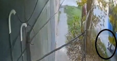 Un nene de 5 años fue arrastrado una cuadra por un colectivo en Villa Fiorito imagen-9