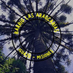 Las Araucarias ya forma parte del plano urbano oficial de Puerto Iguazú Las Araucarias ya forma parte del plano urbano oficial de Puerto Iguazú imagen-71