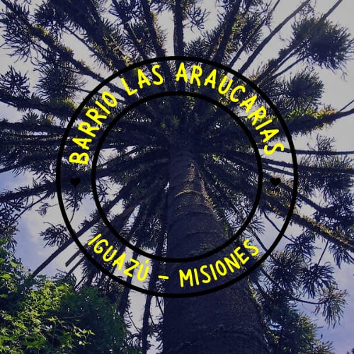 Las Araucarias ya forma parte del plano urbano oficial de Puerto Iguazú Las Araucarias ya forma parte del plano urbano oficial de Puerto Iguazú imagen-5