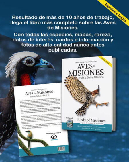 “Aves de Misiones y la Selva Atlántica”: la biodiversidad misionera toma la palabra en la Feria del Libro imagen-17