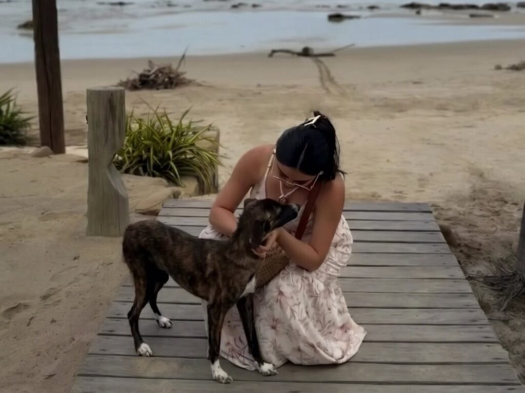 De vacaciones, se cruzó con una perra y quiso ayudarla pero cuando la fue a buscar ya no estaba: “Es fácil ignorar el sufrimiento ajeno” imagen-100