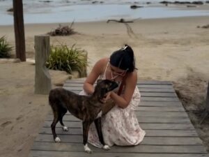 De vacaciones, se cruzó con una perra y quiso ayudarla pero cuando la fue a buscar ya no estaba: “Es fácil ignorar el sufrimiento ajeno” imagen-3