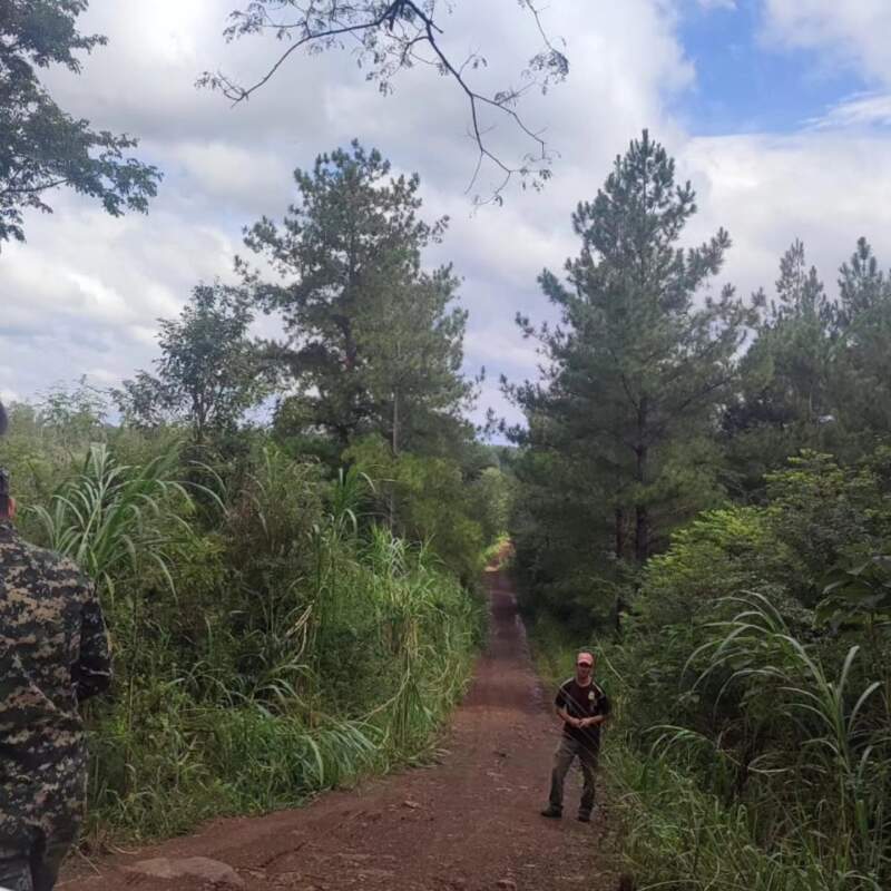 Colonos solicitaron presencia policial tras el presunto avistamiento de un yaguareté en Almafuerte imagen-5