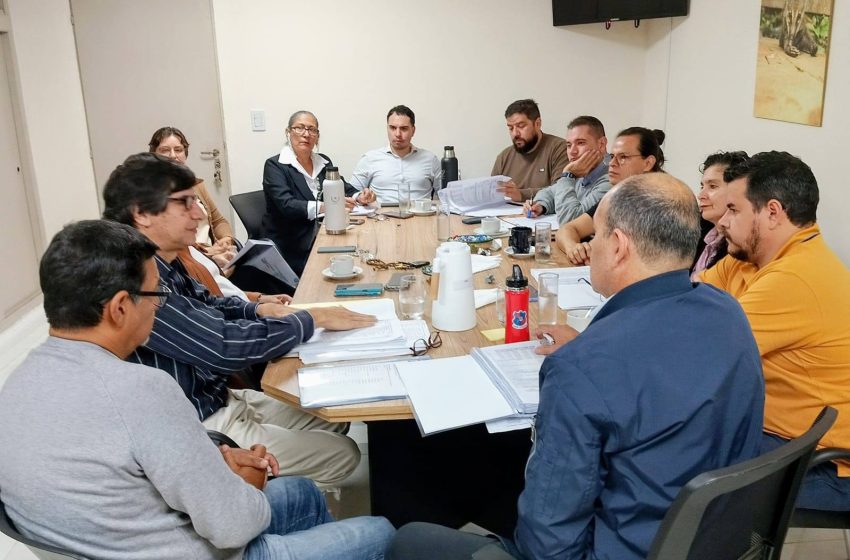 El Concejo Deliberante tratará este viernes la Memoria y Balance 2025 de la Municipalidad de Iguazú imagen-67