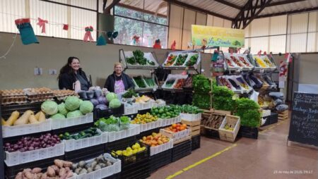El Mercado Concentrador de Oberá fortalece la producción local con alimentos directos de la chacra imagen-119